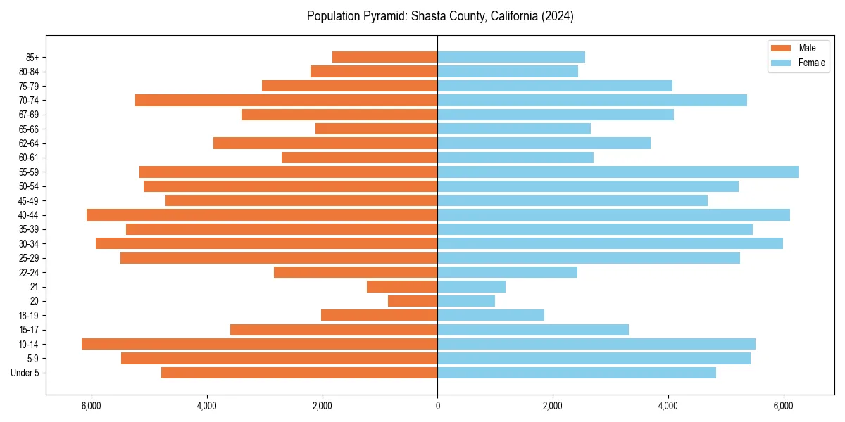 Population pyramid for 