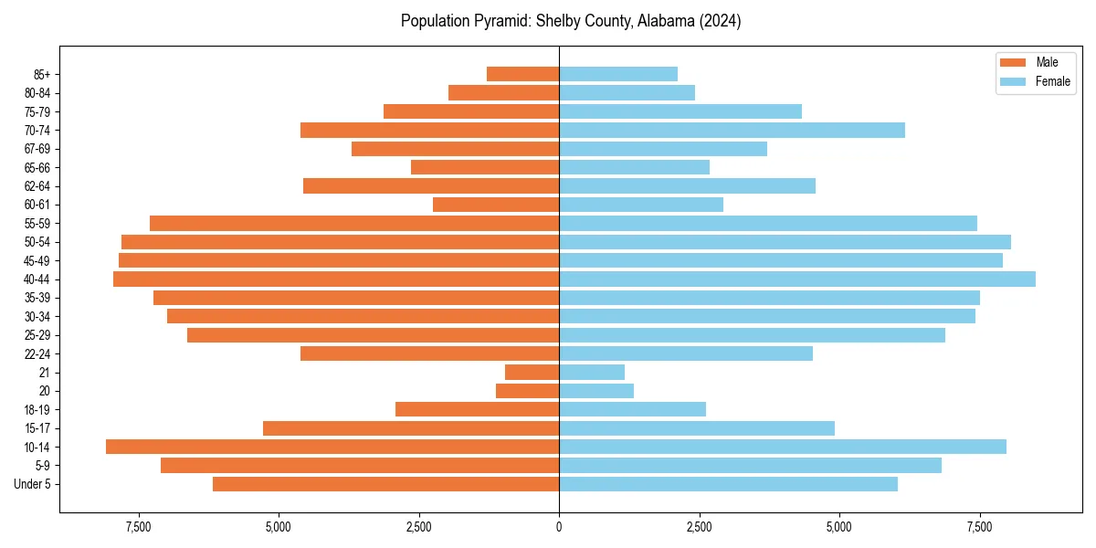 Population pyramid for 