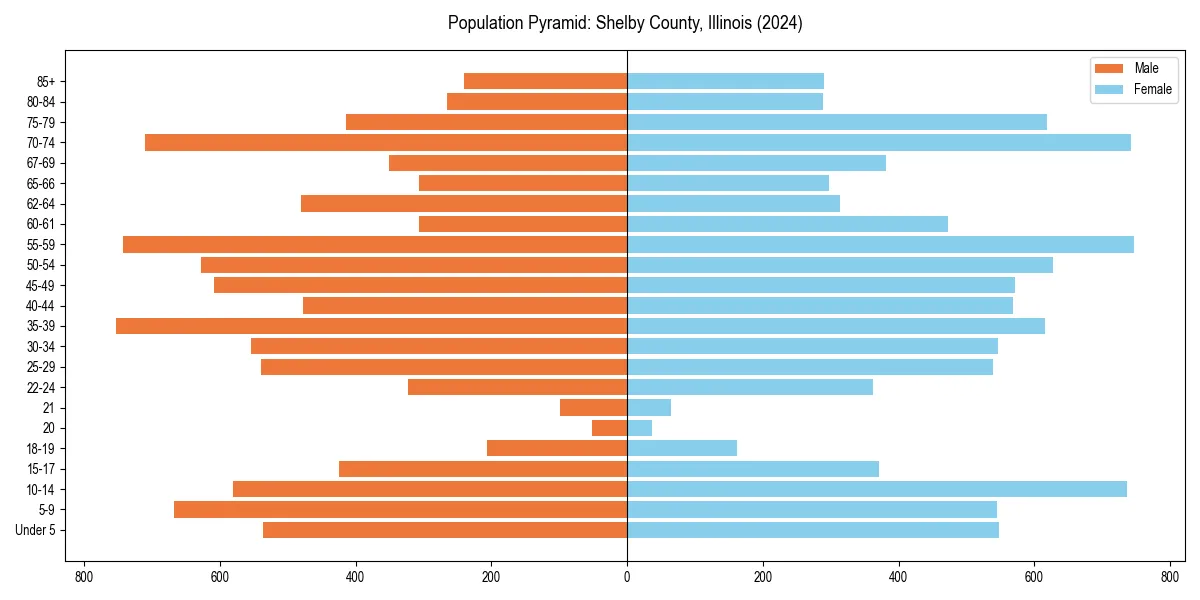Population pyramid for 
