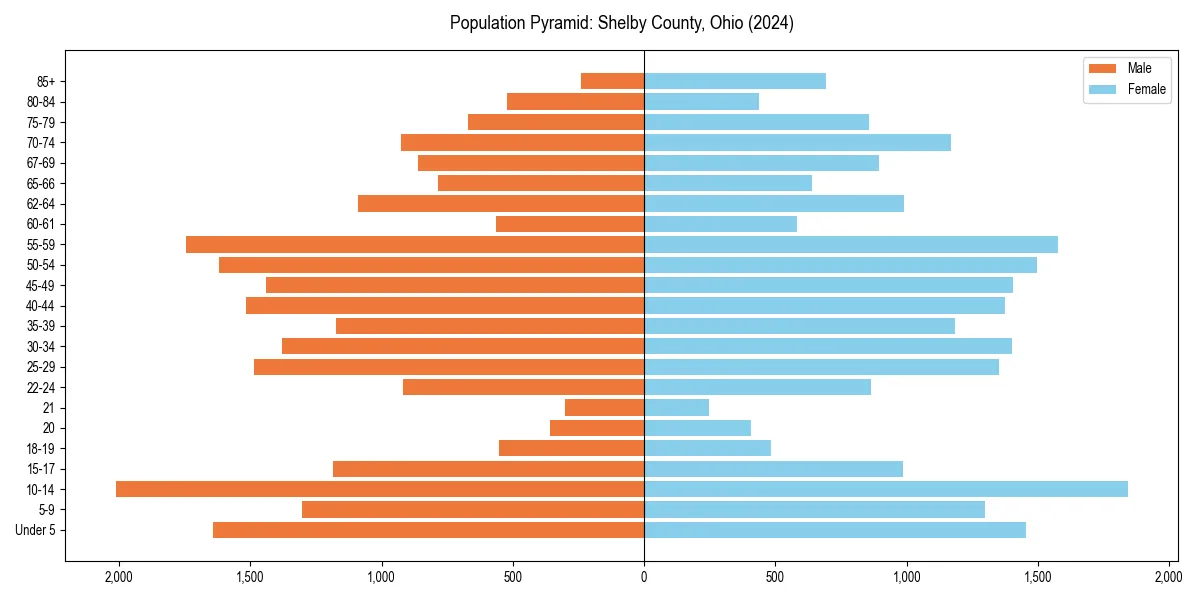 Population pyramid for 