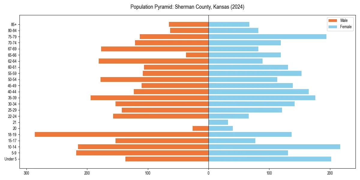 Population pyramid for 