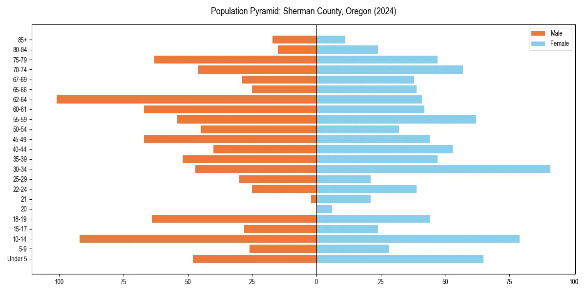 Population pyramid for 