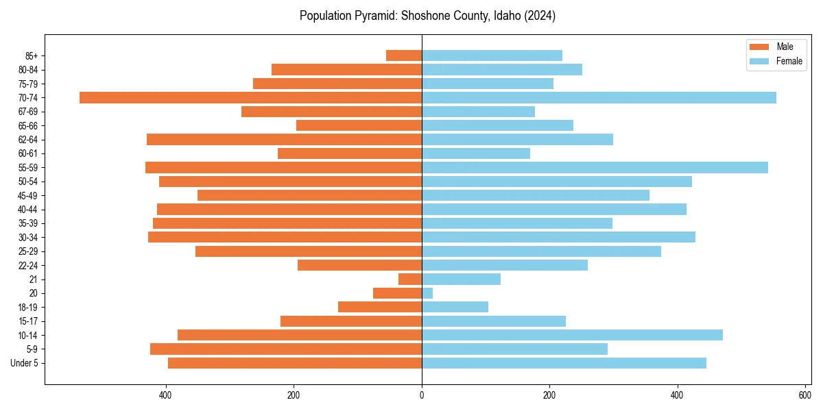 Population pyramid for 