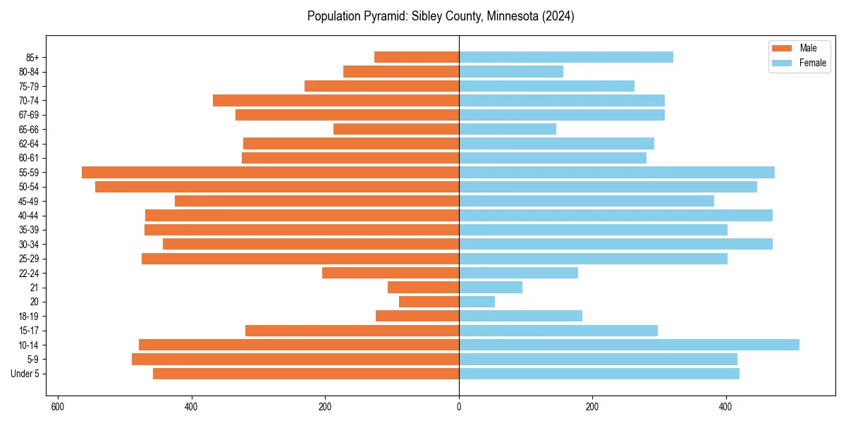 Population pyramid for 