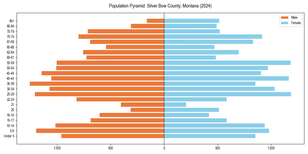 Population pyramid for 