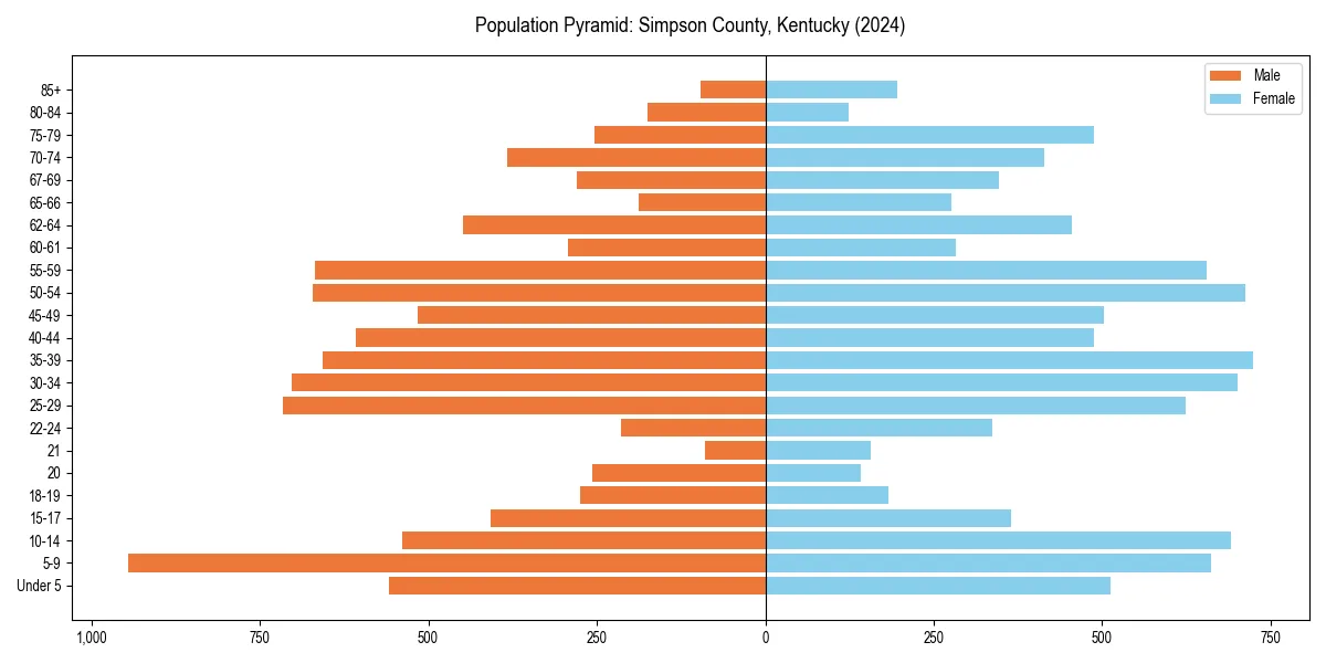 Population pyramid for 