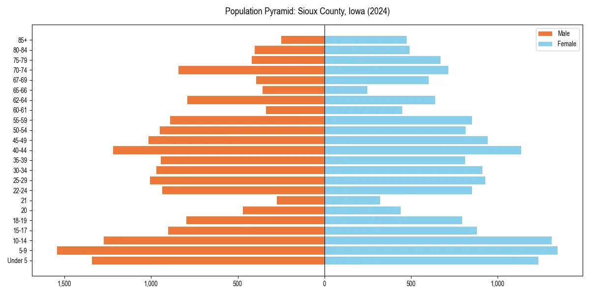 Population pyramid for 