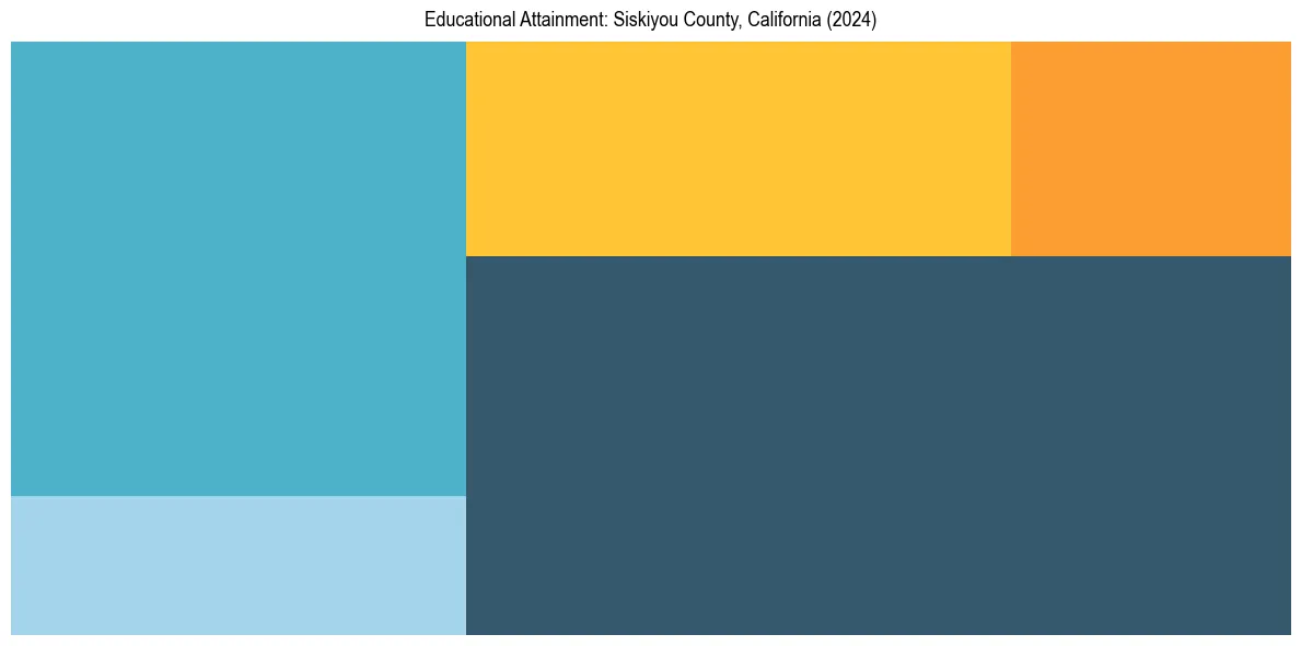 Education Treemap for  in 2024