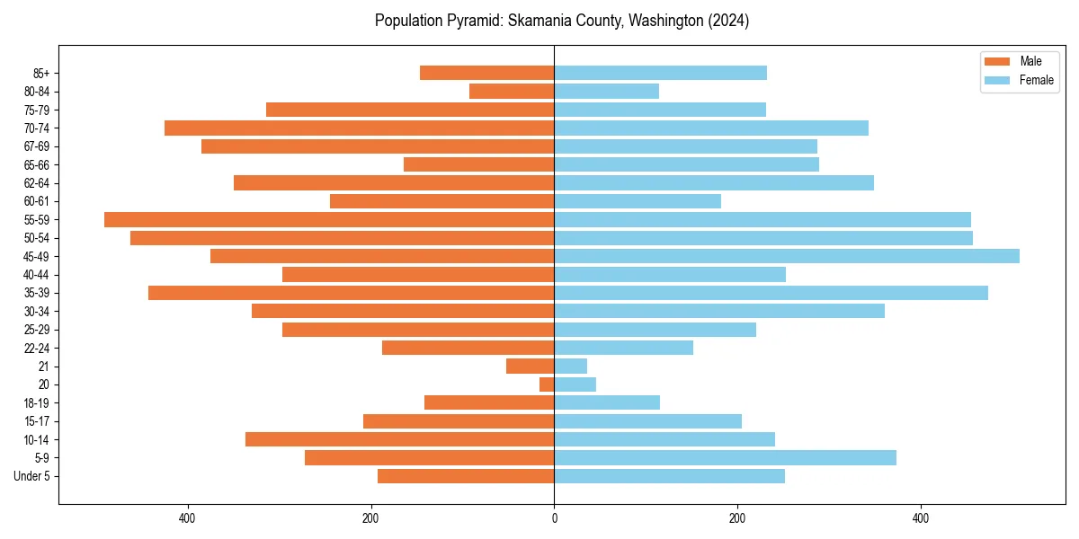 Population pyramid for 