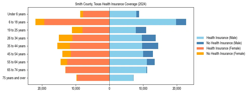 Health insurance pyramid for Smith County, Texas