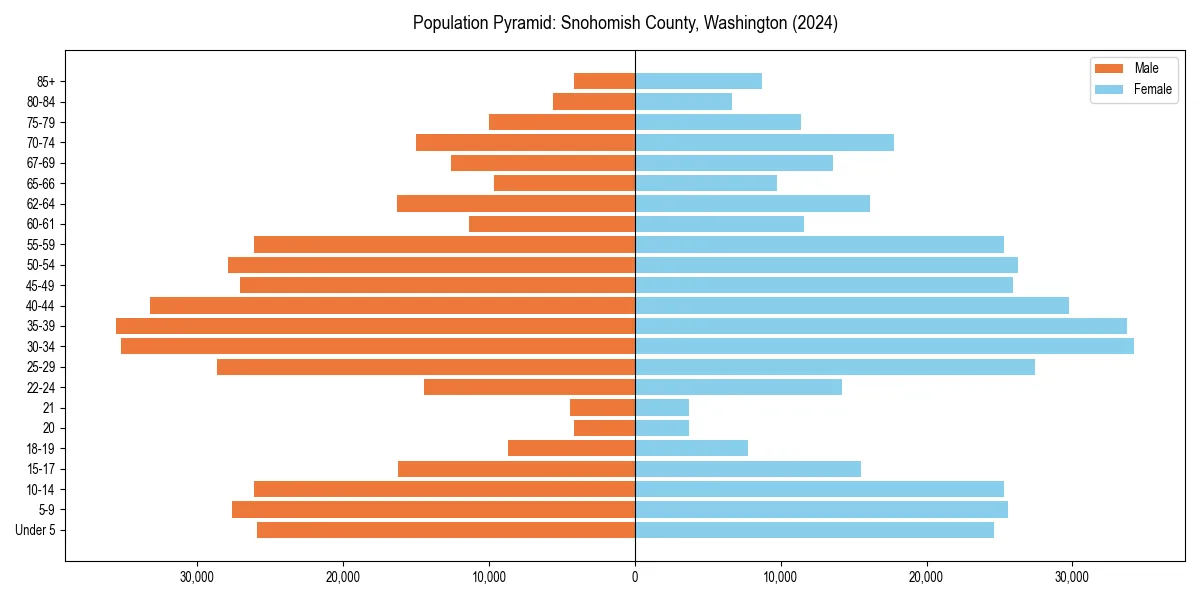Population pyramid for 