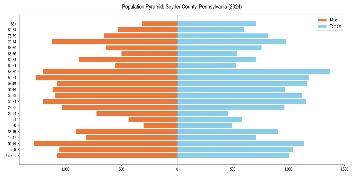 Population pyramid for 