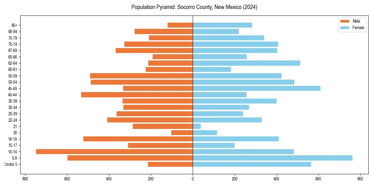 Population pyramid for 