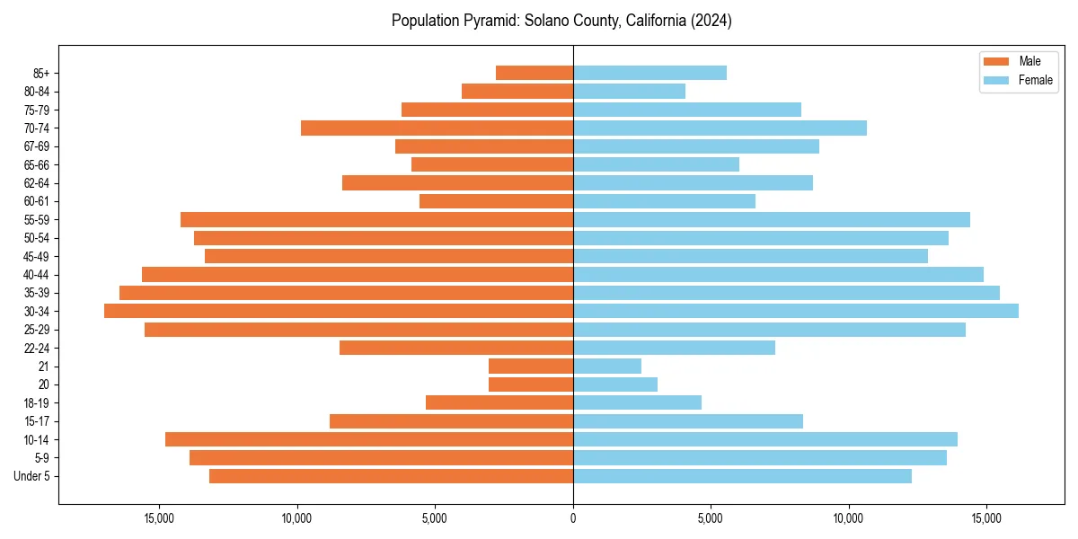 Population pyramid for 