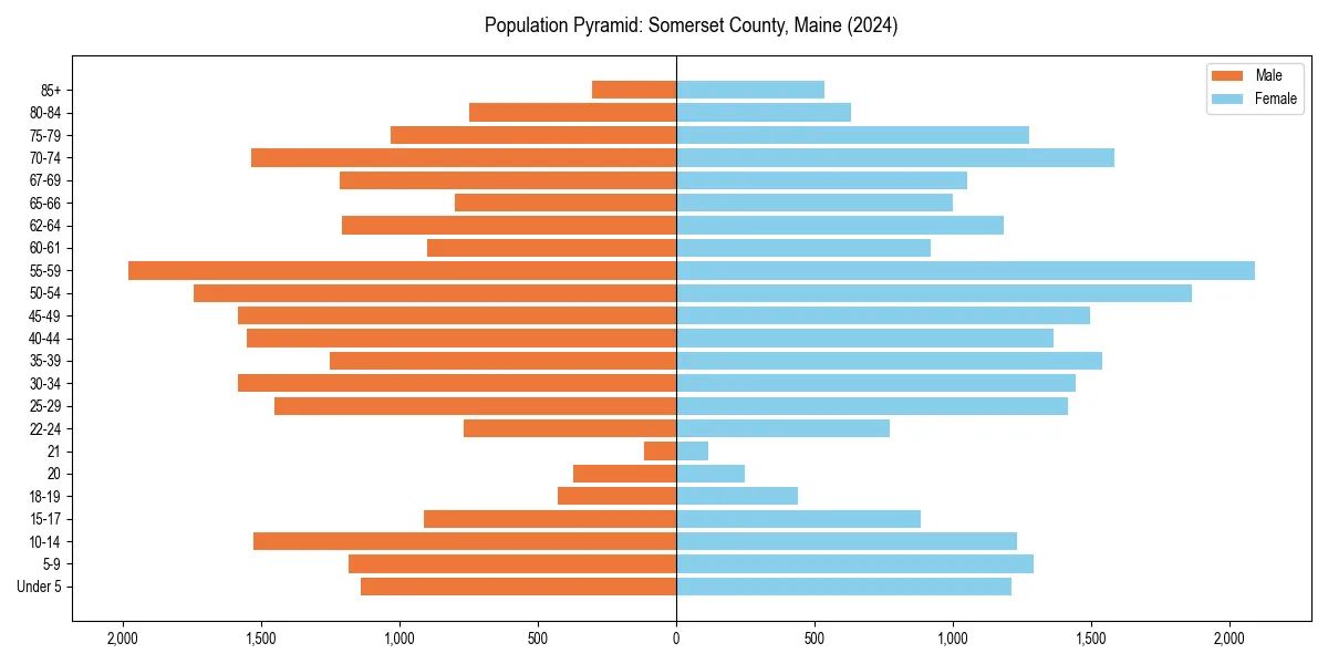 Population pyramid for 