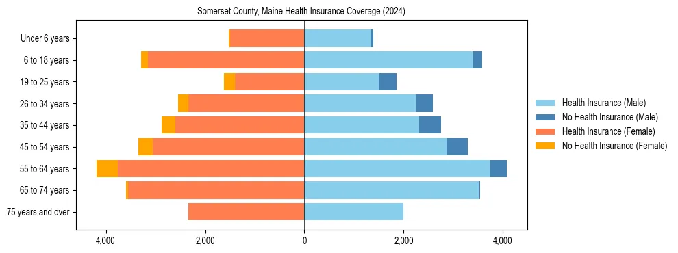 Health insurance pyramid for Somerset County, Maine