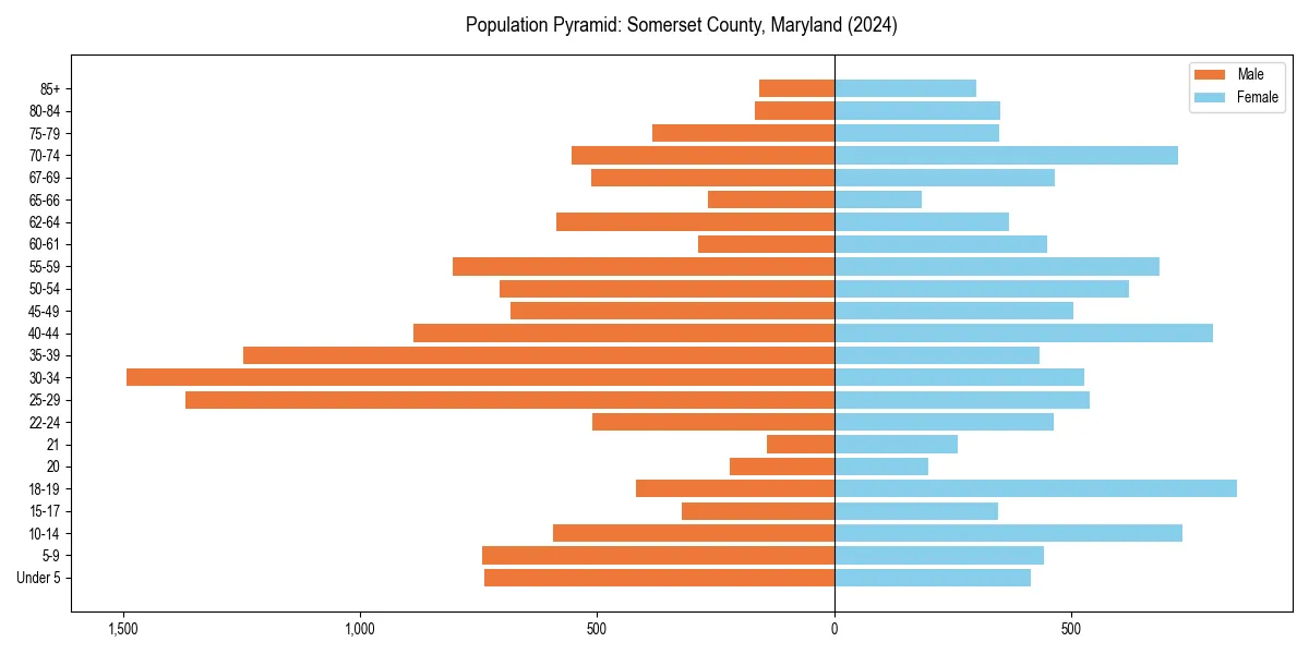 Population pyramid for 