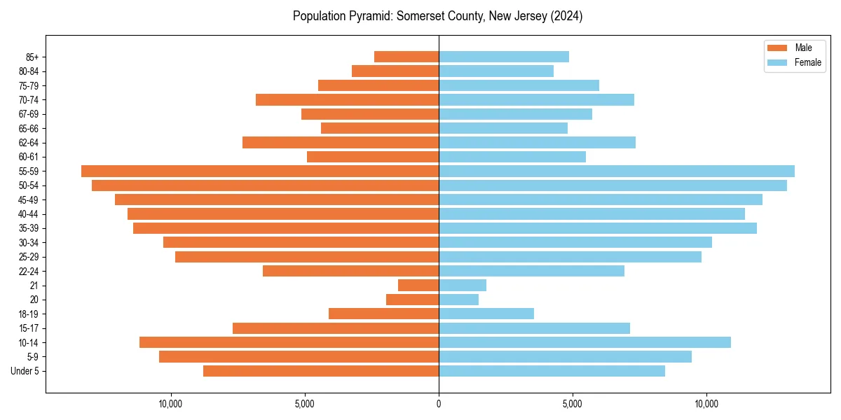 Population pyramid for 