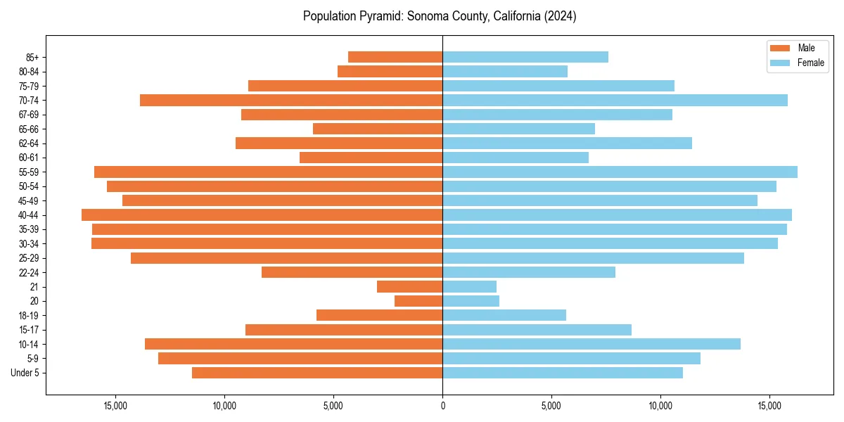 Population pyramid for 