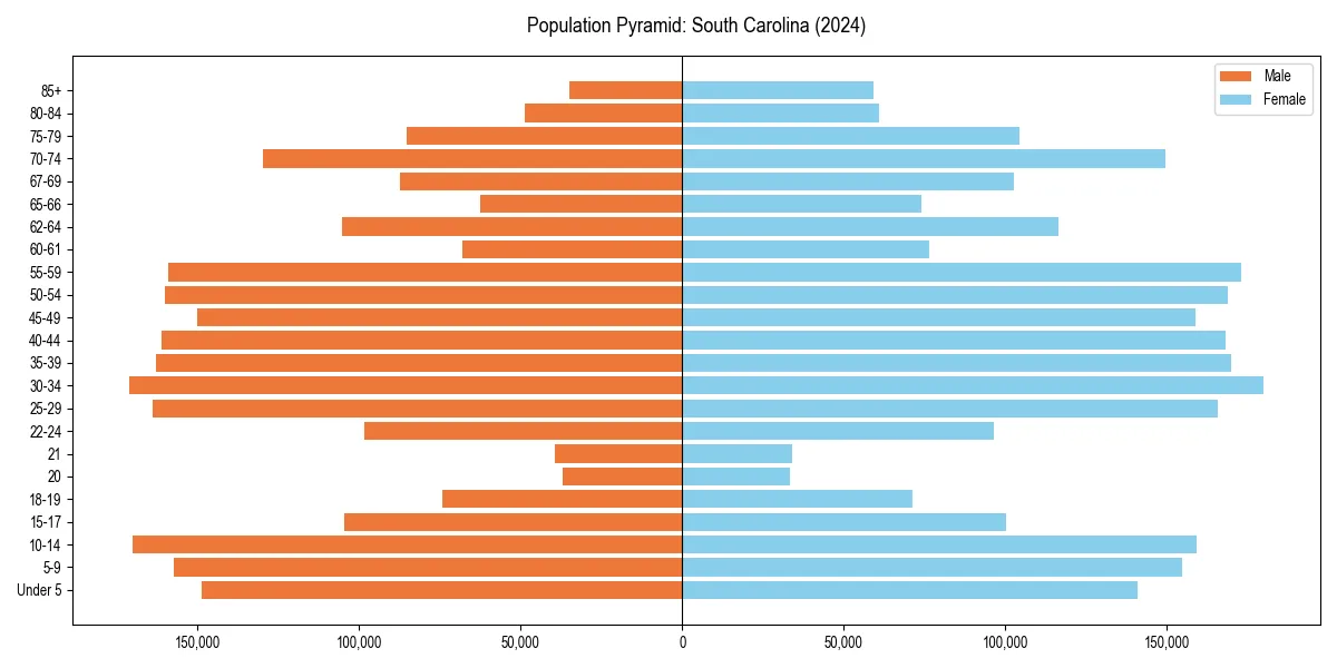 Population pyramid for 