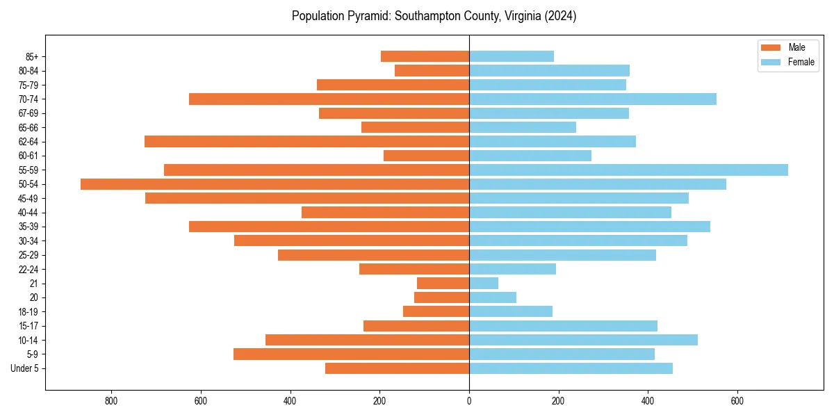 Population pyramid for 