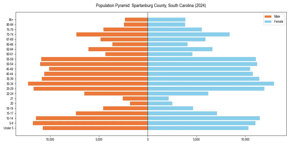Population pyramid for 