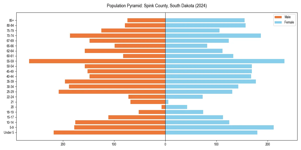 Population pyramid for 