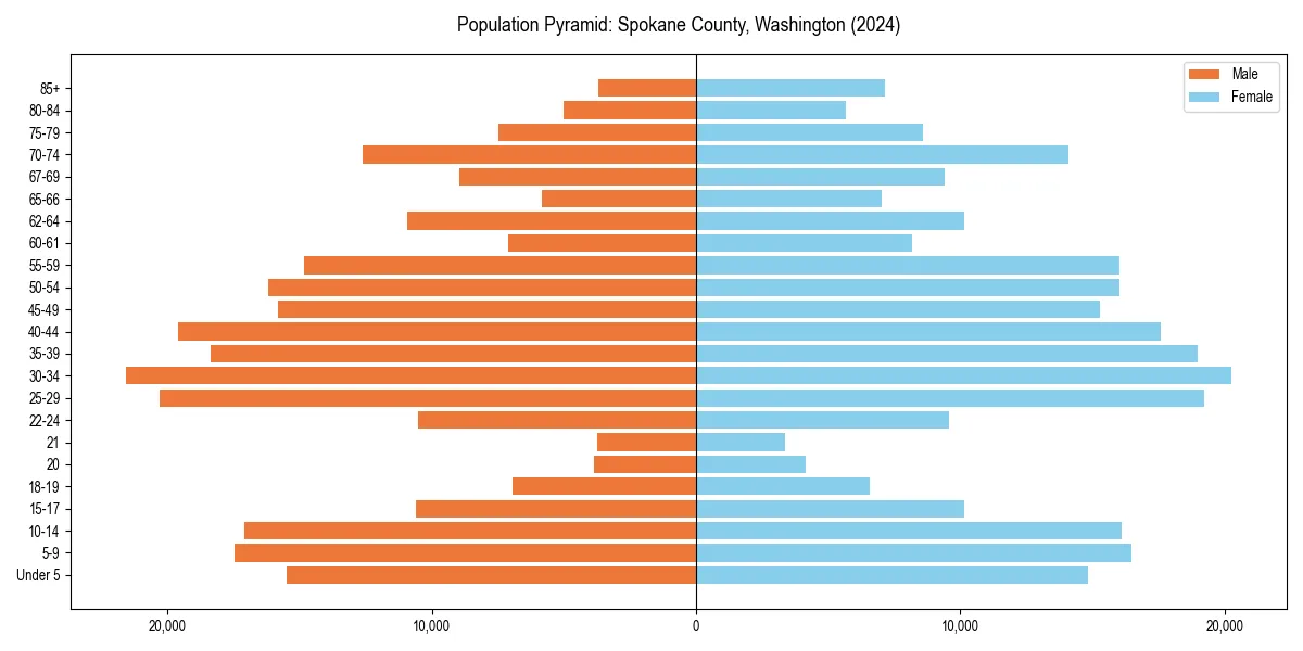 Population pyramid for 