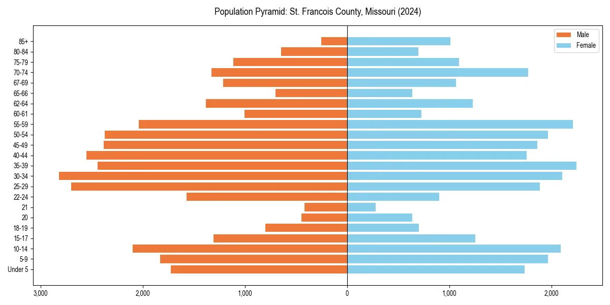 Population pyramid for 