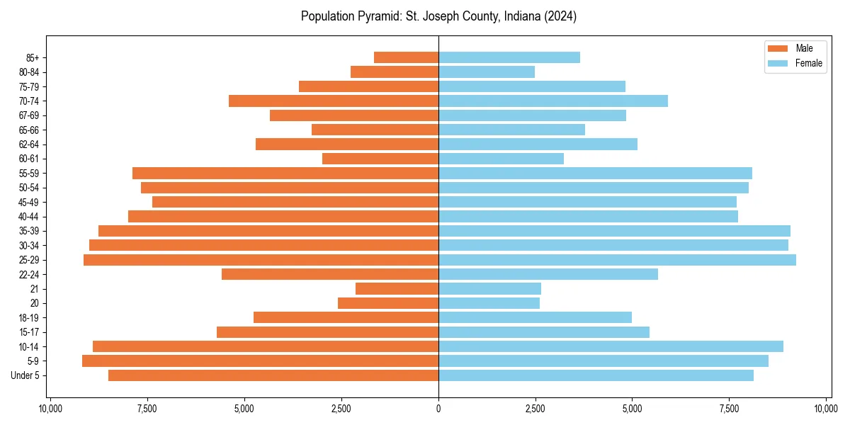 Population pyramid for 