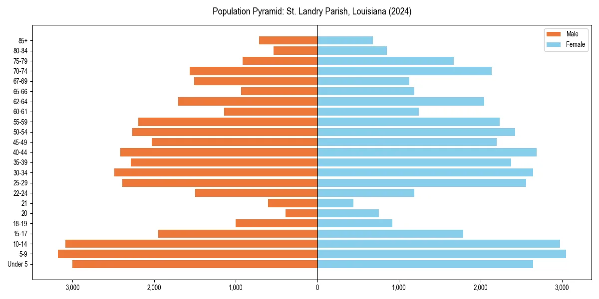 Population pyramid for 