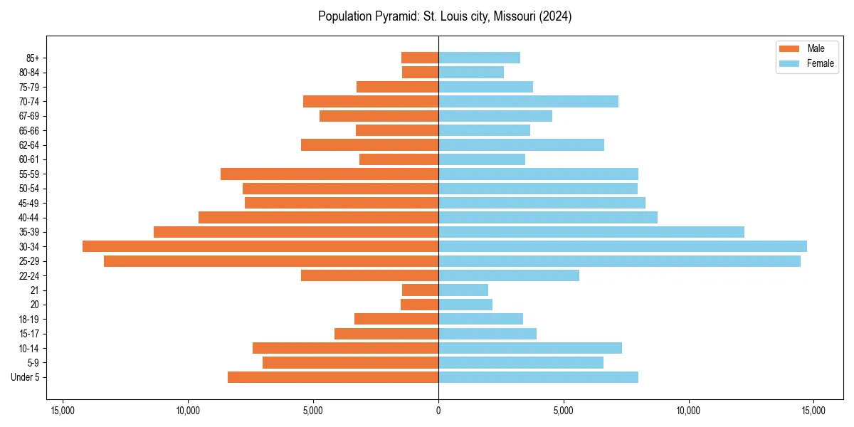 Population pyramid for 
