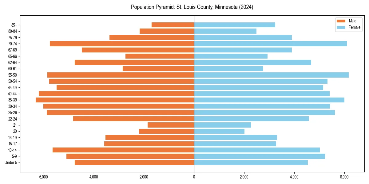 Population pyramid for 