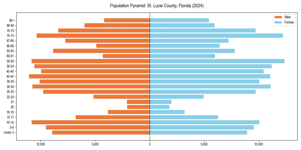 Population pyramid for 