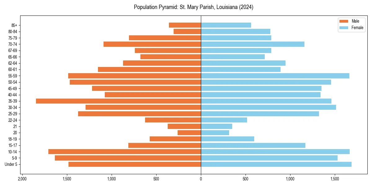 Population pyramid for 