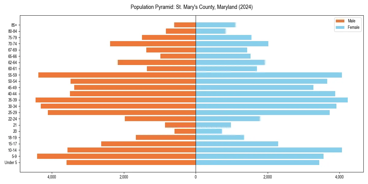 Population pyramid for 