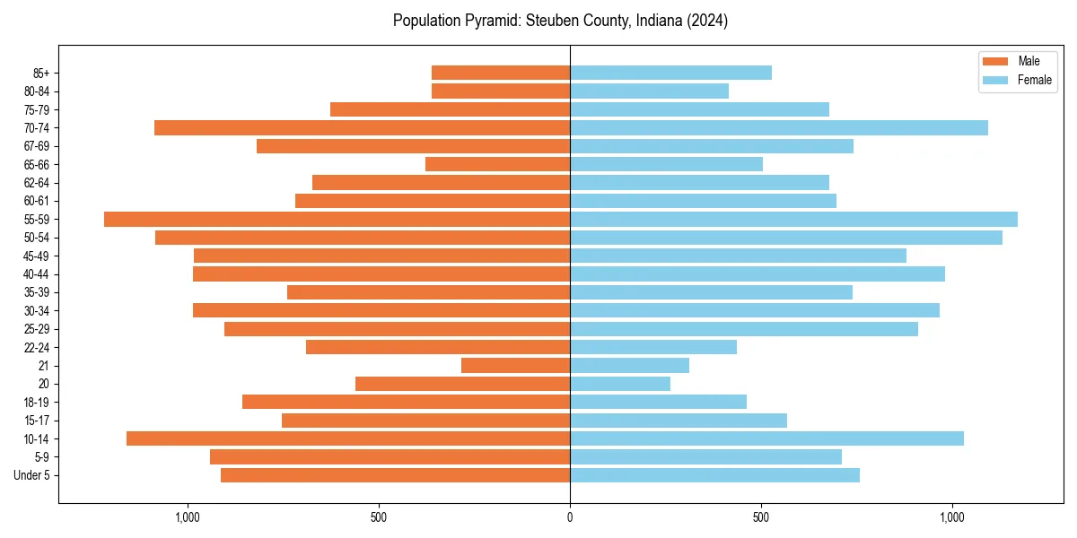 Population pyramid for 