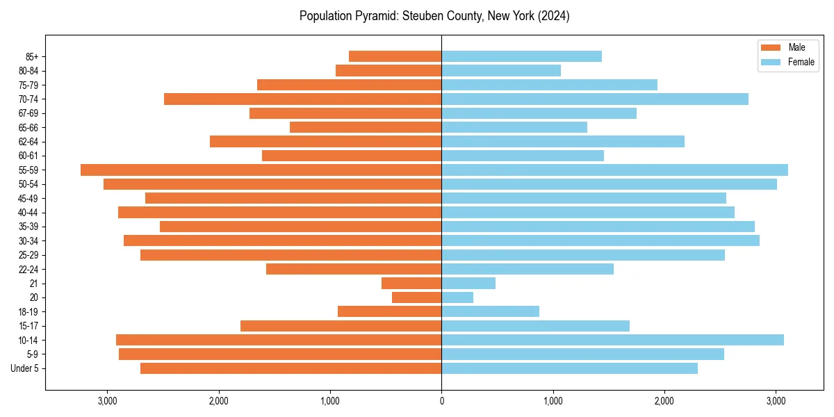 Population pyramid for 