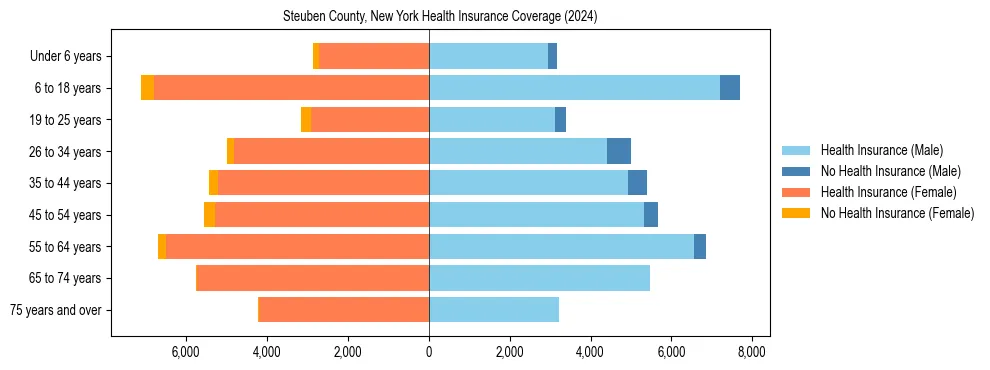 Health insurance pyramid for Steuben County, New York