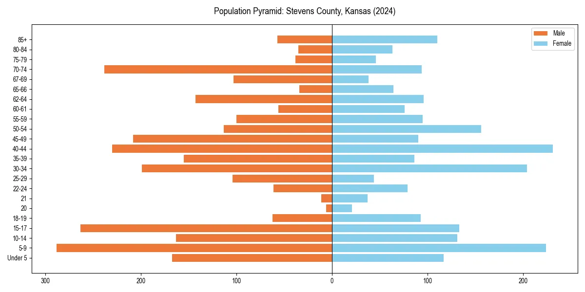 Population pyramid for 