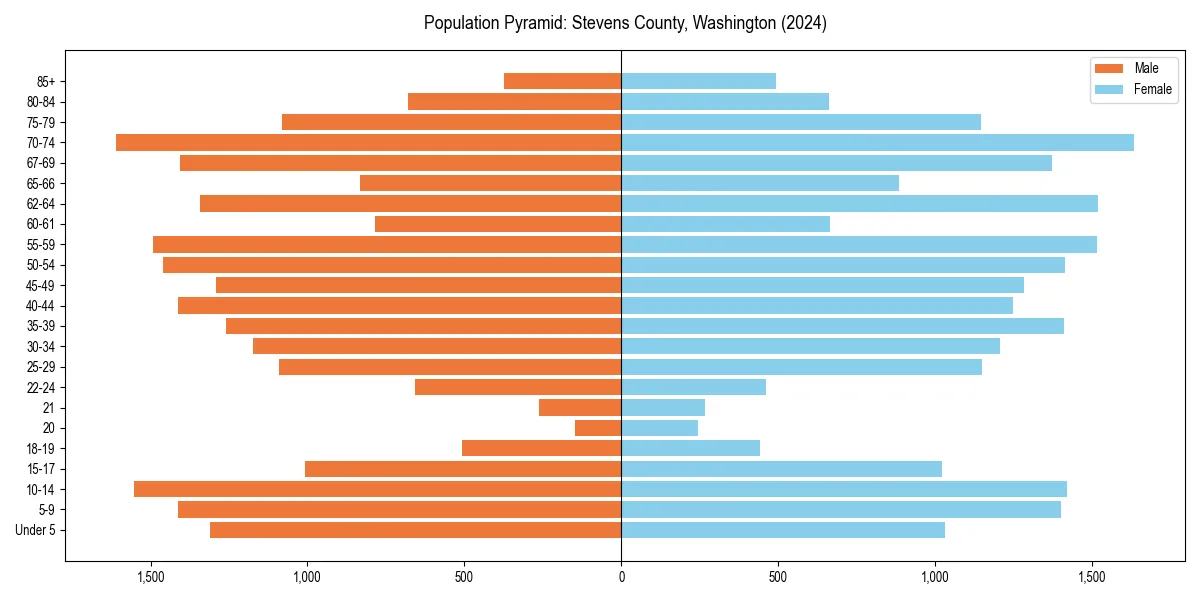 Population pyramid for 