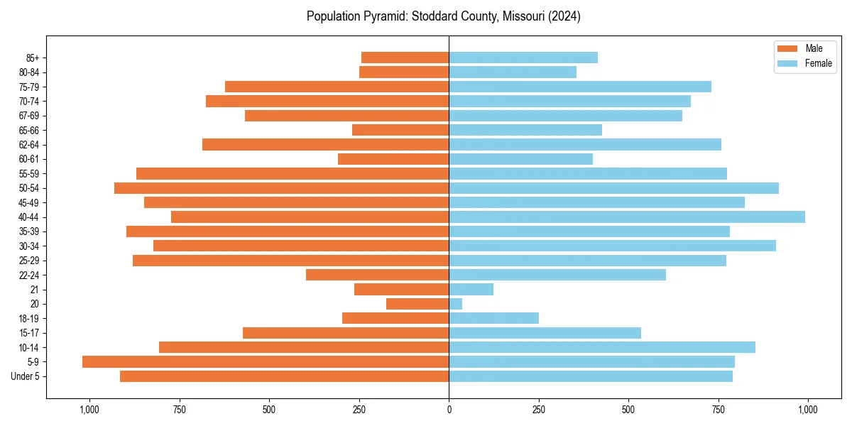 Population pyramid for 