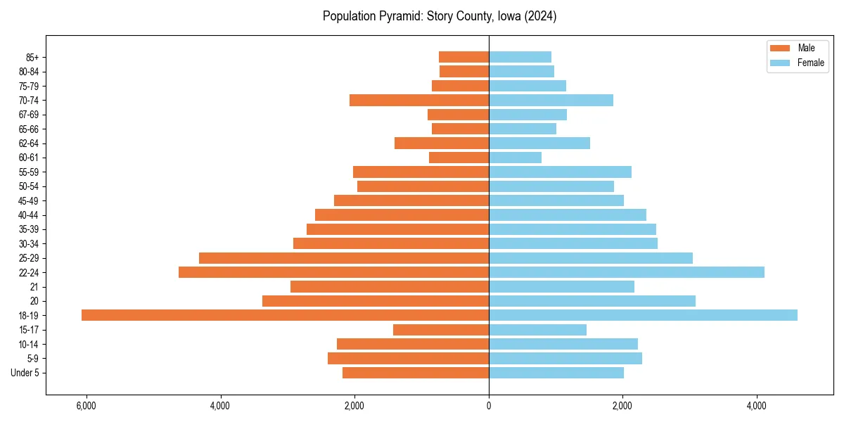 Population pyramid for 