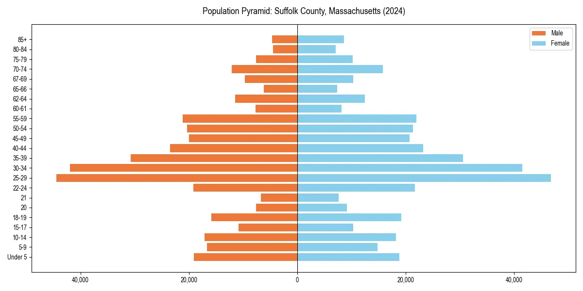 Population pyramid for 