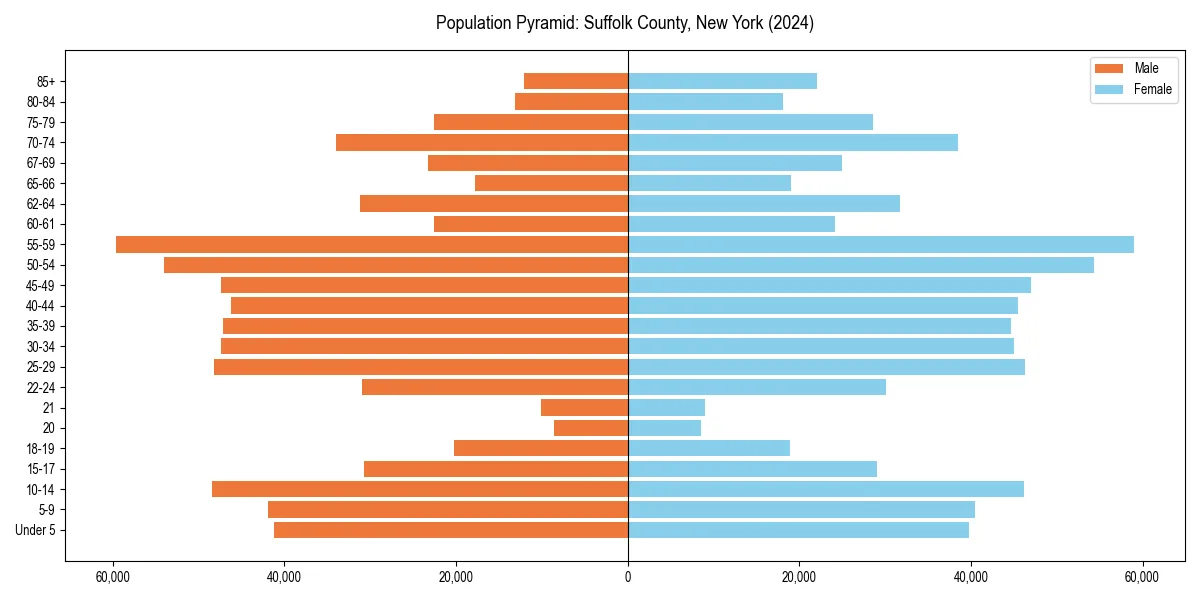 Population pyramid for 