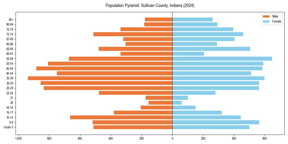 Population pyramid for 