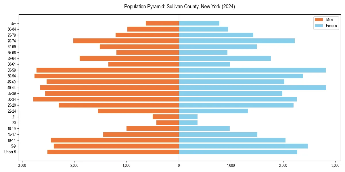 Population pyramid for 