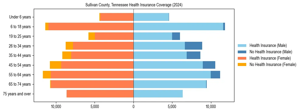 Health insurance pyramid for Sullivan County, Tennessee