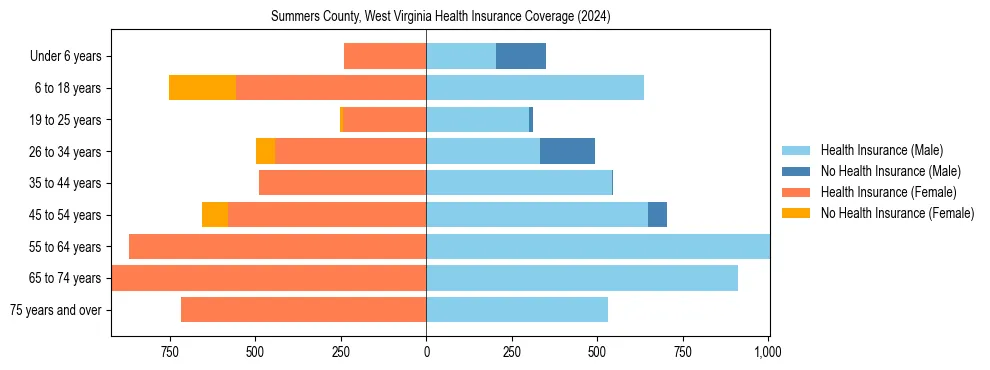 Health insurance pyramid for Summers County, West Virginia