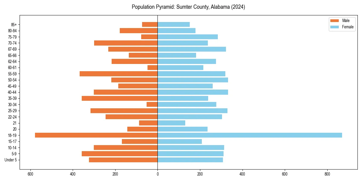 Population pyramid for 